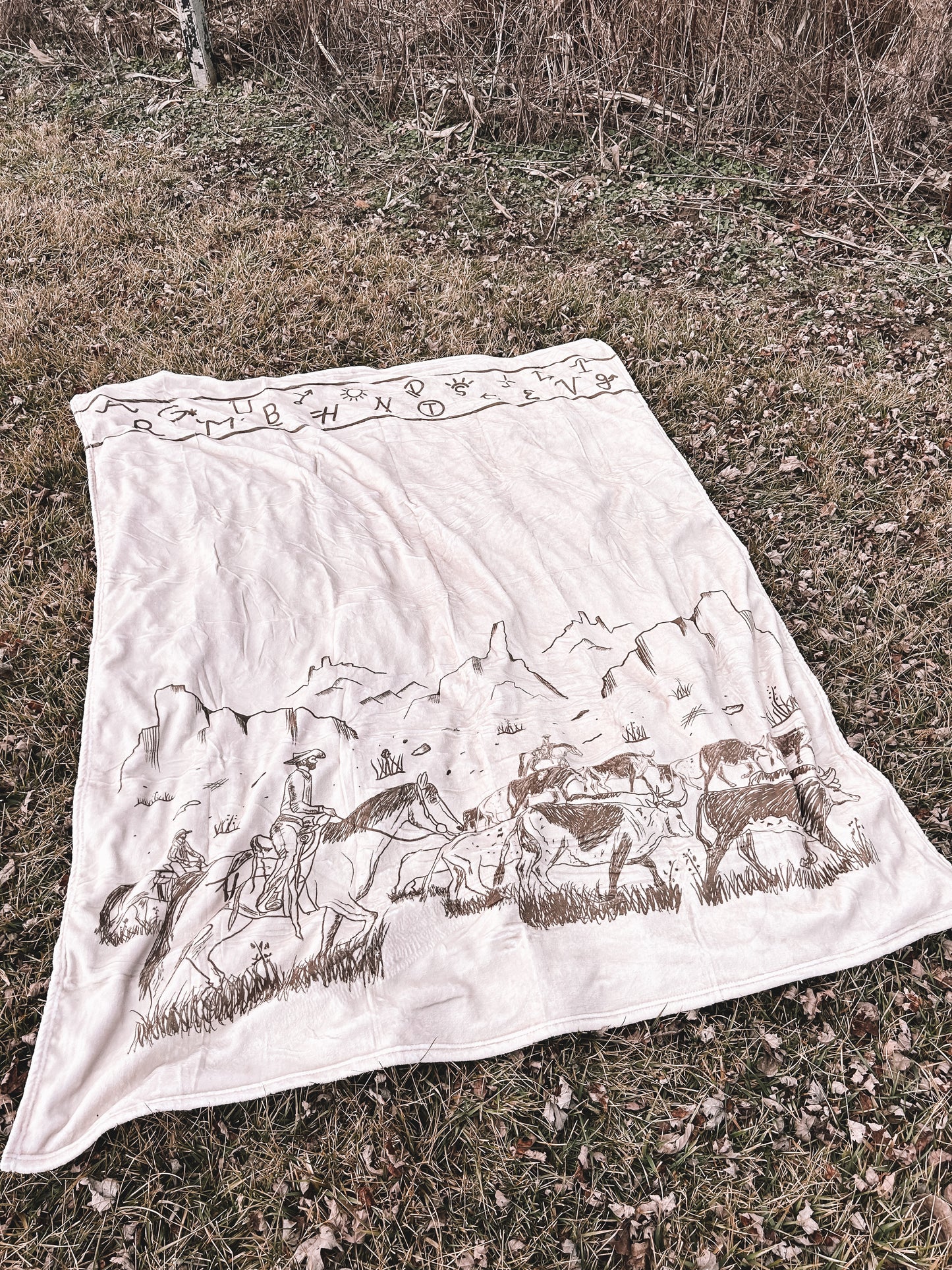 Cattle Drive Plush Blanket