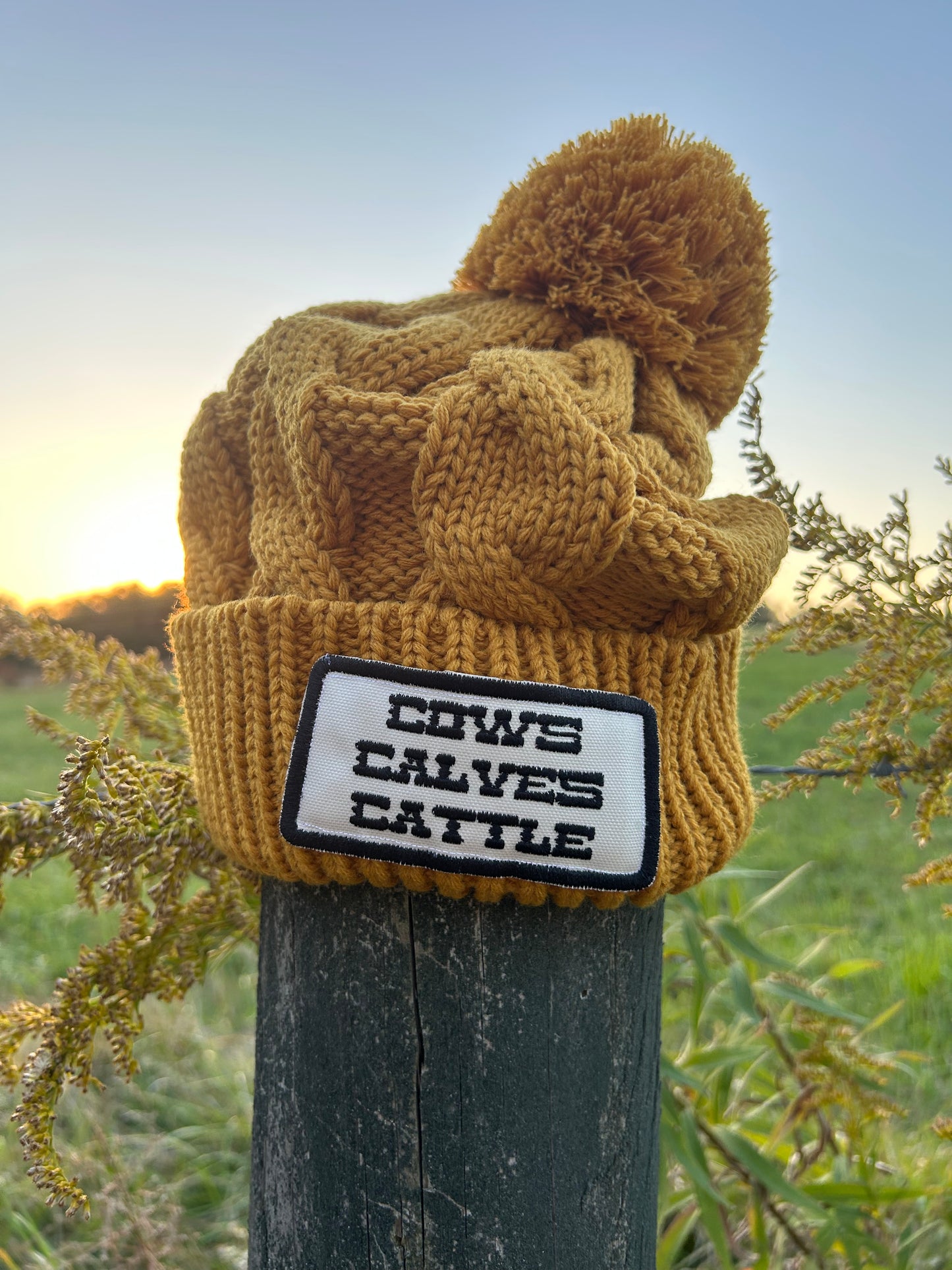 Cows Calves Cattle Beanie