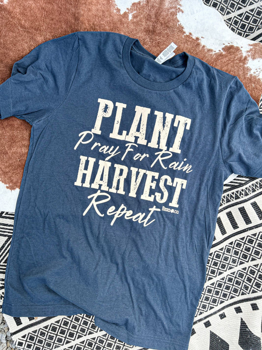 Plant, Pray for Rain, Harvest, Repeat