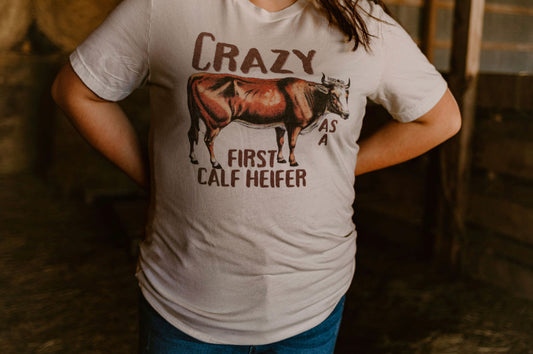 Crazy as a First Calf Heifer